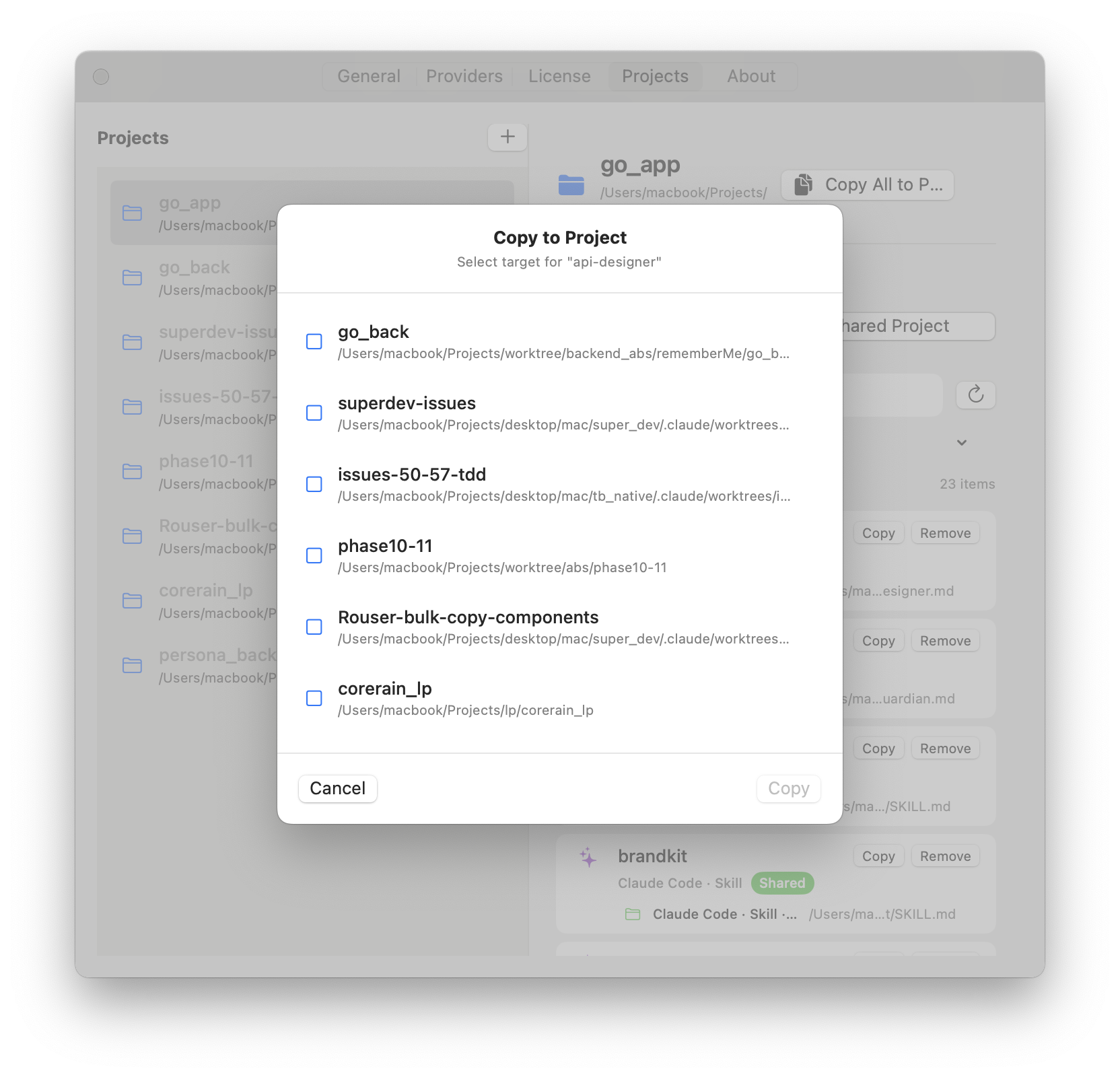 Copy to Project dialog showing list of target projects with checkboxes for api-designer item